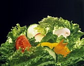 Blattsalat mit geschnittenem Gemüse & einem Champignon