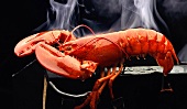 Whole Steaming Lobster