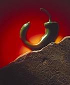 Anaheim Pepper on Stone