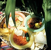 Zwei Arten von Salsa & Guacamole mit Maischips auf Tablett