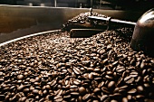 Geröstete Kaffeebohnen kühlen in Maschine aus