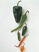 Six Assorted Chili Peppers