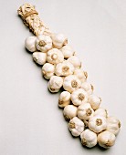 Garlic Bulbs in a Braid