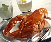 Whole Boiled Lobster on Platter; Dips