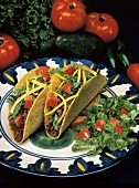 Two Beef Tacos on a Plate with Vegetables