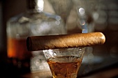 Eine Zigarre auf einem Glas Brandy