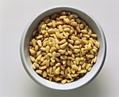 Pine Nuts in a White Bowl