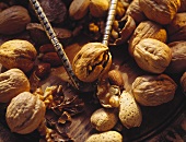 A Walnut in a Nutcracker with Walnuts and Almonds