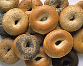 Verschiedene Bagels (ringförmige Brötchen) mit Mohn, Sesam