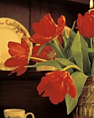 Red Tulips in a Vase