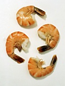 Four Cooked Jumbo Shrimp