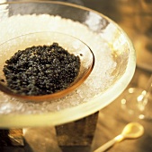 A Bowl of Black Caviar on Ice