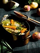Chicken Soup in a Pot