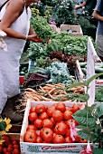 Verkaufstand mit frischem Gemüse auf dem Markt