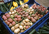 Körbchen mit verschiedenen Kartoffeln in Steige auf dem Markt