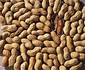 Ungeschälte Erdnüsse, eine davon geöffnet (bildfüllend)