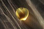 One Golden Delicious Apple