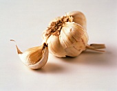 Garlic Bulb with a Clove of Garlic