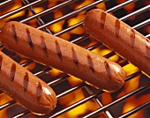 Hot Dogs on the Grill; Hot Coals