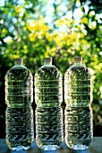 Three Bottles of Mineral Water