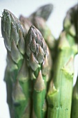 Close Up of Asparagus Tips
