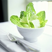 Caesar Salad in einem weissen Schälchen