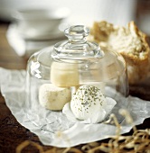 Various Cheeses Under Glass