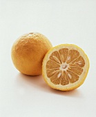 A Sour Orange; One Cut in Half