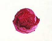 A Head of Red Cabbage