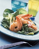 Light Caesar Salad with Grilled Shrimp