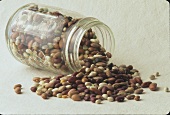 Assorted Dried Beans and Peas Spilling from Jar
