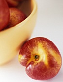 Nectarine Beside Bowl of Nectarines