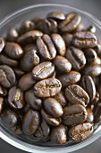 Roasted Coffee Beans