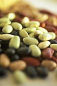 Assorted Types of Beans