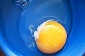 Raw Egg on a Blue Plate