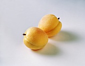 Two Apricots