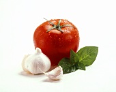 Tomate, Knoblauch und Basilikum