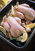Poussin in Roasting Pan with Shallots, Lemon and Herbs