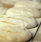 Uncooked Loaves of Bread with Flour