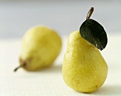 Pair of Barlett Pears on White