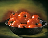 Frische Tomaten in einer Schale