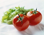 Two Fresh Vine Ripe Tomatoes with Lettuce
