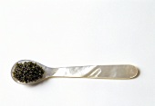 Kaviar vom Stör auf Perlmuttlöffel