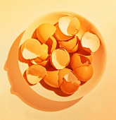 A Bowl of Broken Brown Egg Shells