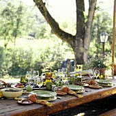 An Outdoor Table Setting with a Vegetarian Meal