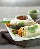 Spring rolls with tofu and vegetables