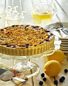 Blueberry Tart with Coconut Crumb Topping