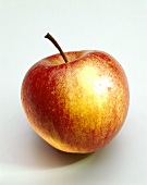 Frischer Jonagold Apfel