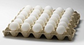 weiße Eier im Karton