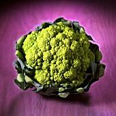 A Romanesco broccoli against purple background